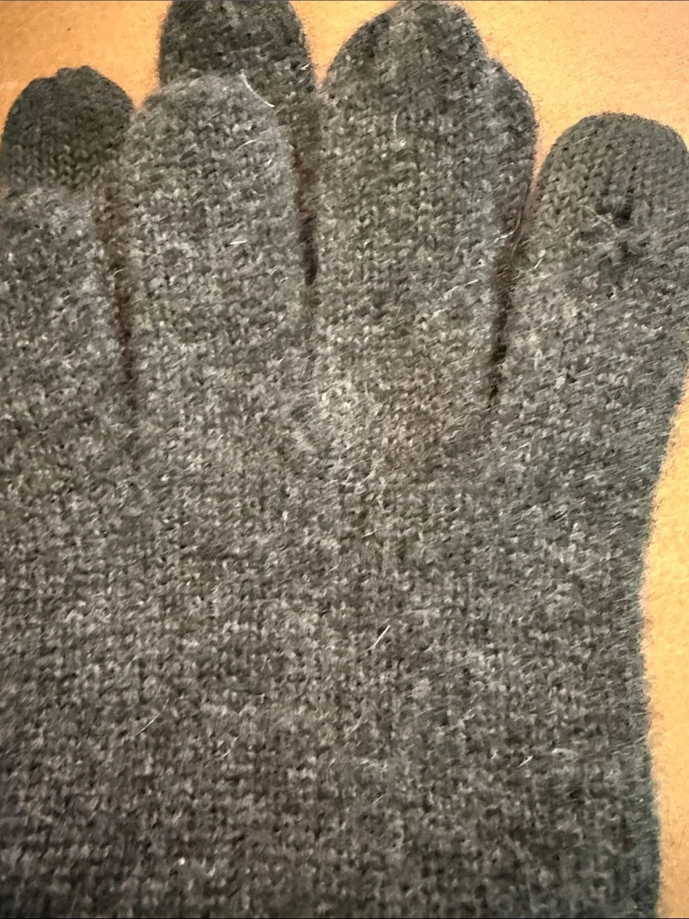 Quince 100% Mongolian Cashmere Gloves Gray